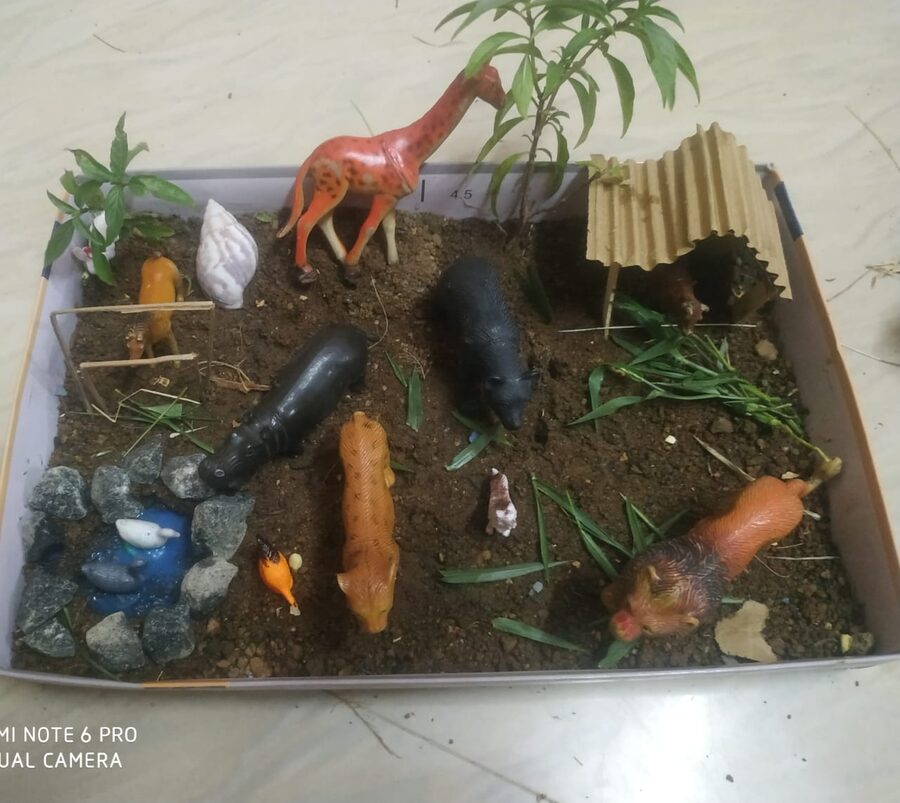 Student Craft Diorama Project